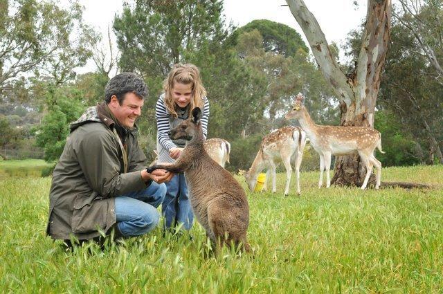 Bungaree Station Bed and Breakfast Buitenkant foto